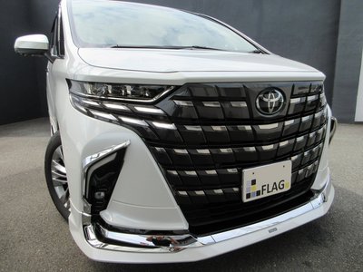 2024 Toyota ALPHARD 照片 1