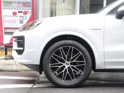 2025 Porsche CAYENNE thumbnail 21