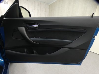 2017 BMW M2 COUPE 照片 30