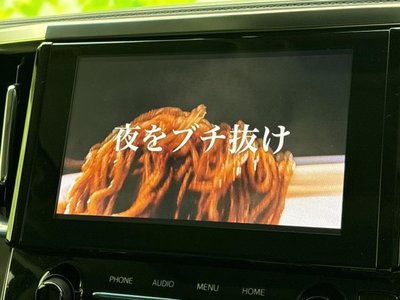 2022 Toyota ALPHARD 照片 9
