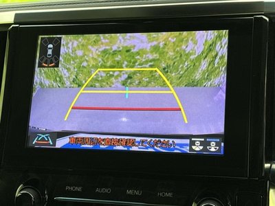 2022 Toyota ALPHARD 照片 12