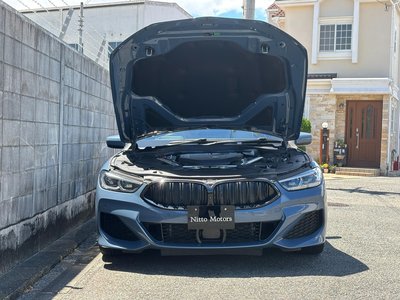 2020 BMW 8 SERIES GRAN COUPE thumbnail 49