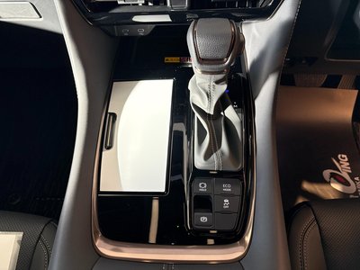 2024 Toyota ALPHARD 照片 38