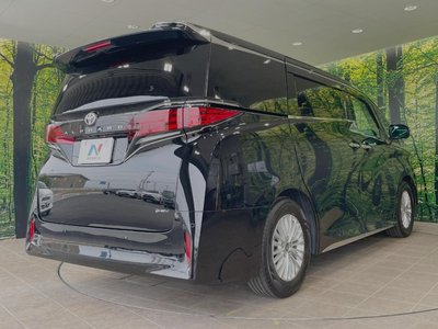 2025 Toyota ALPHARD — фото 19