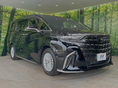 2025 Toyota ALPHARD — фото 18