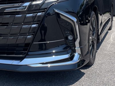 2025 Toyota ALPHARD — фото 8