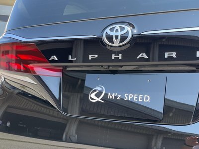 2025 Toyota ALPHARD — фото 23