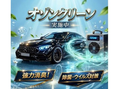 2024 Toyota VELLFIRE thumbnail 44