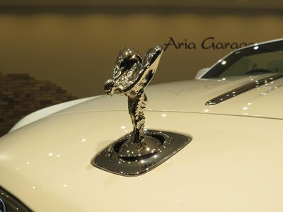 2016 ROLLS-ROYCE DAWN 照片 56
