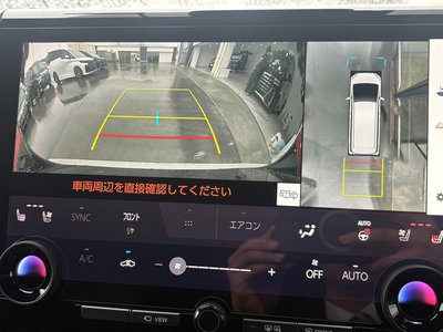 2024 Toyota ALPHARD 照片 12
