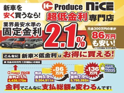 2024 Toyota ALPHARD 照片 70