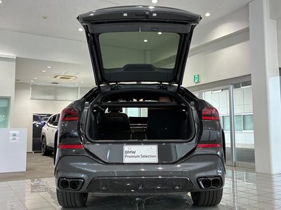 2025 BMW X6 thumbnail 46