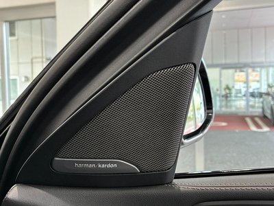 2025 BMW X6 thumbnail 38