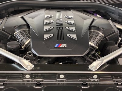2025 BMW X6 thumbnail 49