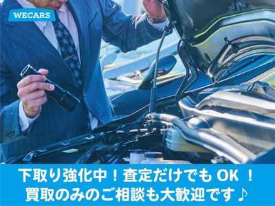 2022 Toyota ALPHARD 照片 64