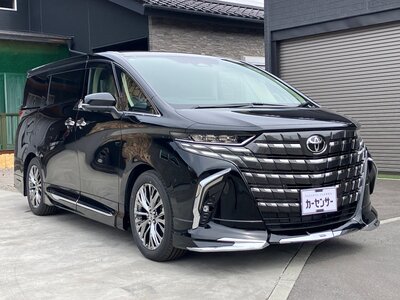 2025 Toyota ALPHARD — фото 3