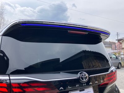 2025 Toyota ALPHARD — фото 9