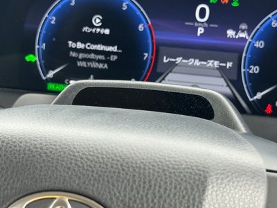 2025 Toyota ALPHARD 照片 56