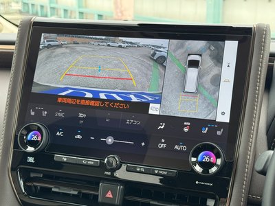 2025 Toyota ALPHARD 照片 10