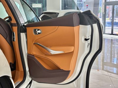 صورة 65 لـ 2021 Aston Martin DBX