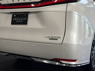 2024 Lexus LM 照片 21