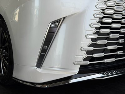 2024 Lexus LM 照片 10