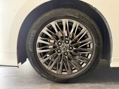 2024 Lexus LM 照片 70