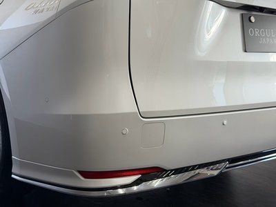 2024 Lexus LM 照片 22