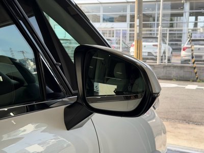 2024 Lexus LM 照片 15