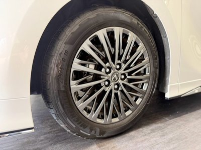 2024 Lexus LM 照片 69