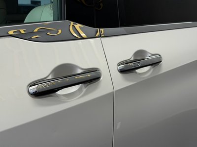 2024 Lexus LM 照片 26
