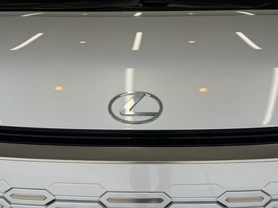 2024 Lexus LM 照片 13