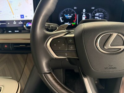 2024 Lexus LM 照片 32
