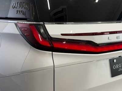 2024 Lexus LM 照片 20