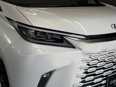 2024 Lexus LM 照片 8