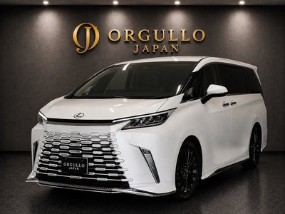 2024 Lexus LM 照片 1