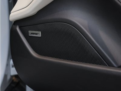 2023 Porsche TAYCAN 缩略图 20