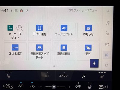 2024 Lexus LBX 照片 46