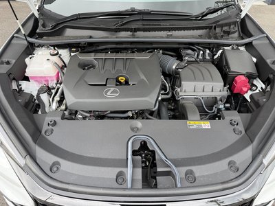 2024 Lexus LBX 照片 64
