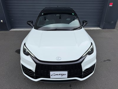 2024 Lexus LBX 照片 38