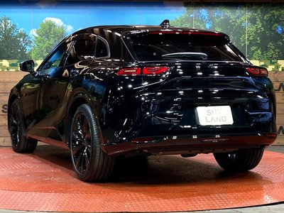 2025 Toyota CROWN SPORT thumbnail 29