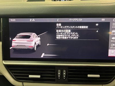 2020 Porsche CAYENNE thumbnail 52