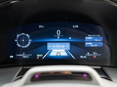 2024 Lexus LM photo 24