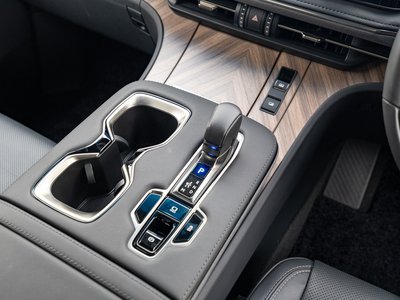 2024 Lexus LM photo 25