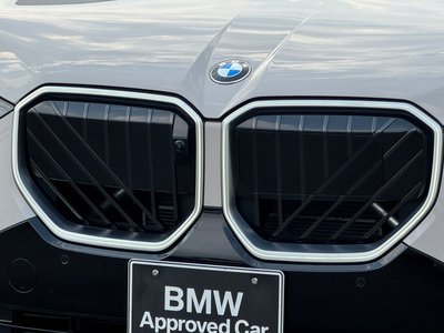 2025 BMW X3 photo 10