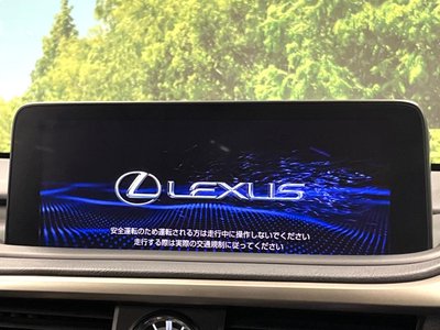 2021 Lexus RX photo 4