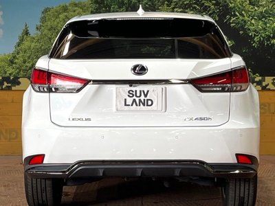 2021 Lexus RX photo 15