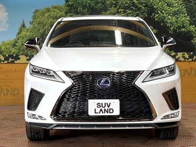 2021 Lexus RX photo 14