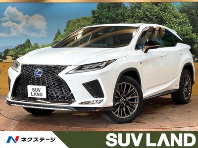 2021 Lexus RX photo 1