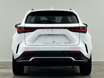 2021 Lexus NX thumbnail 41